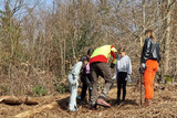 Schüler und Schülerinnen der Grundschule Schelmengraben in Dotzheim pflanzen Bäume.