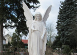 Den Mittelpunkt des neuen Abteils auf dem Kostheimer Friedhof bildet eine historische Engelskulptur, an deren Sockel Grabschmuck abgelegt werden kann.