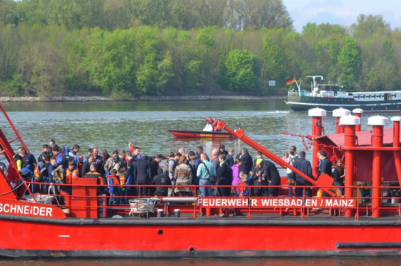 Wiesbadenaktuell Anschwimmen Der Taucher Im Rhein Bei Wiesbaden Am