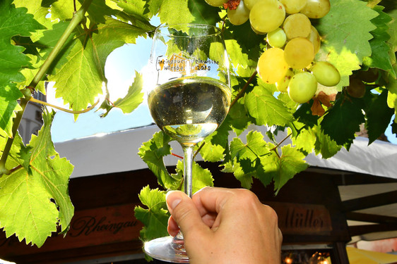 Sonnenberger Weinfest am 16. bis 17.September 2023