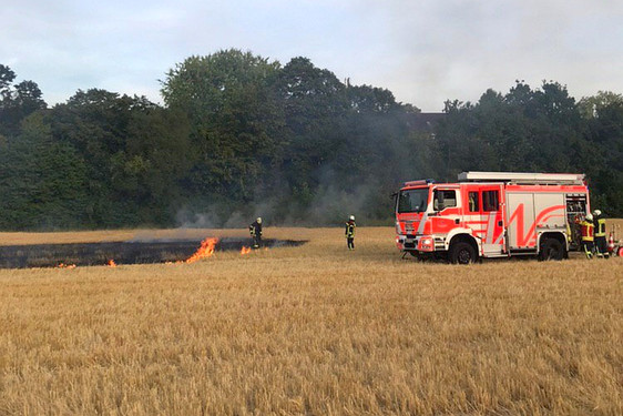 Feuerwehr Wiesbaden am Dienstagabend im Dauereinsatz. Brennendes Feld und zwei Küchenbrände forderten die Einsatzkräfte.