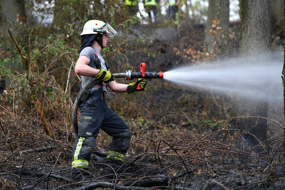 Waldbrand auf der Platte in Wiesbaden. Die Feuerwehr löscht die Flammen.