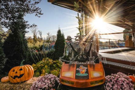 Das Taunus Wunderland, vor den Toren Wiesbadens, verwandelt sich im Herbst in ein Halloween Spektakel.