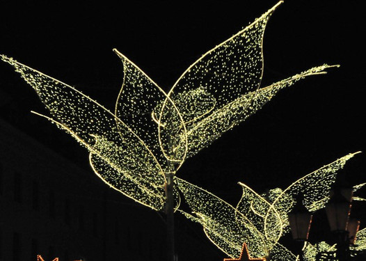 Weihnachtsbeleuchtung in der Wilhelmstraße