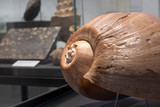 Die Studienausstellung "Früher war das Wetter besser" veranschaulicht im Museum Wiesbaden unsere Klimageschichte.