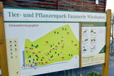 Der Tier- und Pflanzenpark Fasanerie in Wiesbaden ist teilweise wieder geöffnet nach dem Schneechaos.