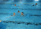 Schwimmen nur für Frauen im Hallenbad Kostheim
