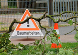 Baumfällungen in Wiesbaden