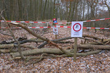 In Wiesbaden wurde die Mountainbike Strecke am Schläferskopf wegen Astbruch-Gefahr gesperrt.