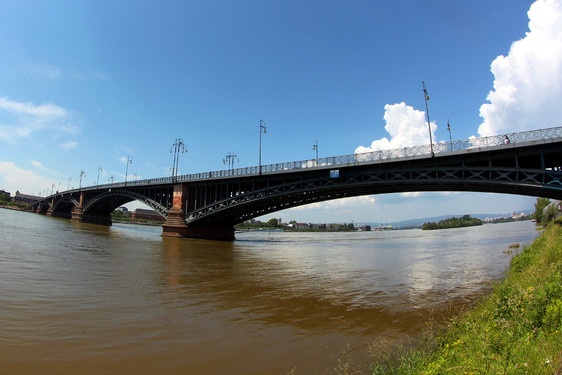 DIe Theoder-Heuss-Brücke soll eine Schwester bekommen.