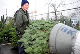 In Wiesbaden öffnen am 6. Dezember die ersten Verkaufsstände für Weihnachtsbäume.