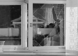 Einbrecher zerschlagen Fensterscheibe