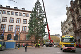 Wiesbaden hat seit Dienstag seinen Weihnachtsbaum. Am Mittag wurde die 27 Meter hohe Tanne auf dem Schlossplatz aufgestellt im Beisein der deutsche Weihnachtsbaumkönigin Sophia Adlberger und der drei Wiesbadener Lilchen.