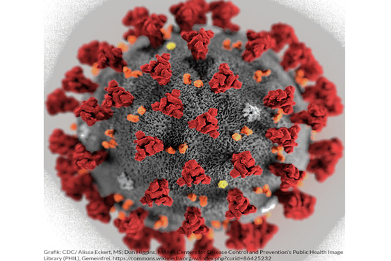 Coronavirus, Foto: CDC Alissa Eckert, MS Dan Higgins MAM