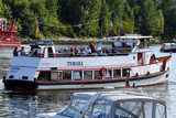 Personenfähre Tamara stellt Fahrten auf die Rettbergsauen in Biebrich und Schierstein wegen des Hochwassers ein.