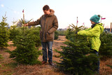 Die Auswahl an Weihnachtsbäumen ist groß. Freudenberger Christbaumverkauf.