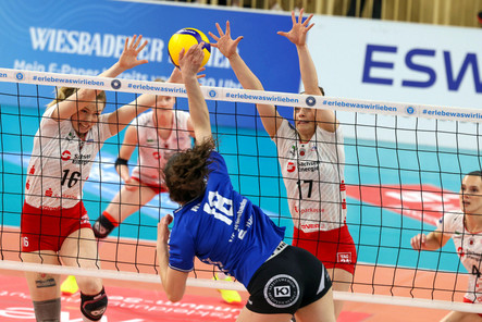 VC Wiesbaden empfing Dresdner SC zum letzten Hauptrundenspiel vor den Playoffs