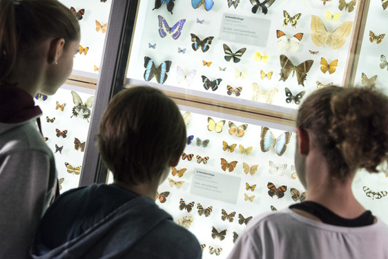 Junge Gäste in der Sammlung des Museums Wiesbaden.