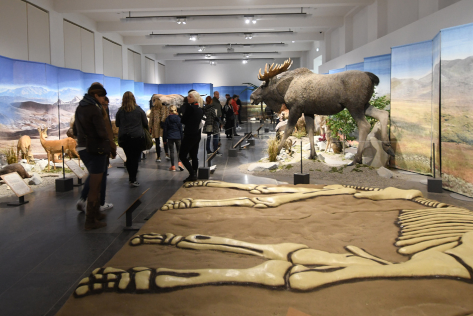 Kurze Nacht der Museen und Galerien: Wiesbaden feiert Kunst und Kultur Am 5. April lockt Wiesbadens größte Kunst- und Kulturnacht mit Rekordbeteiligung