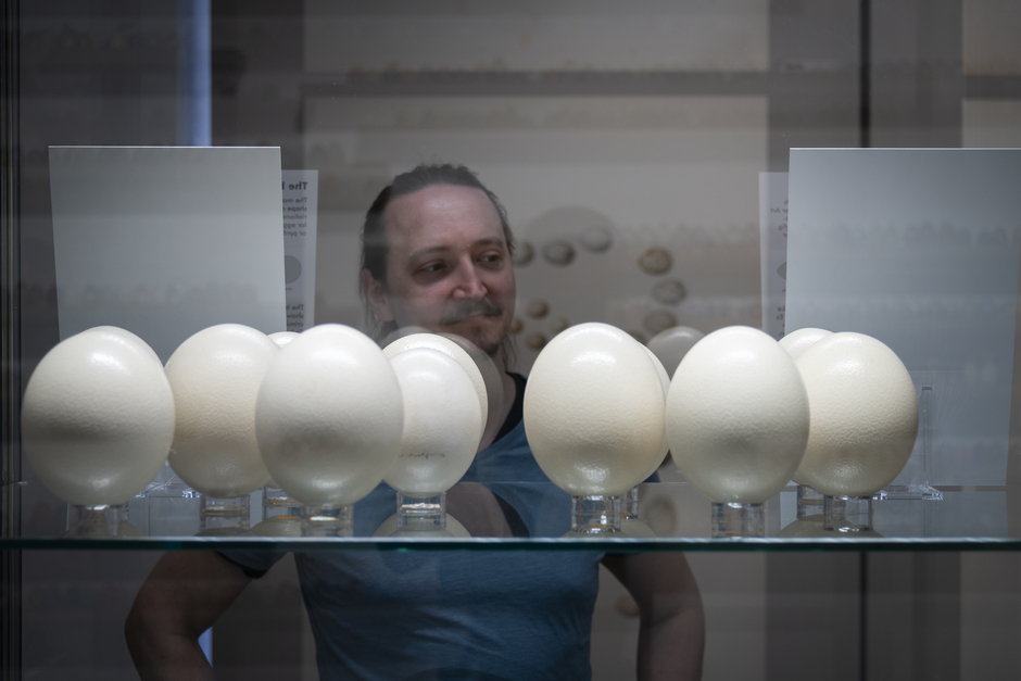 Das Museum Wiesbaden lädt am Samstag, den 3. Mai 2025 bei freiem Eintritt zum Besuch der aktuellen Sonderausstellungen und Sammlungspräsentationen in Kunst und Natur ein.