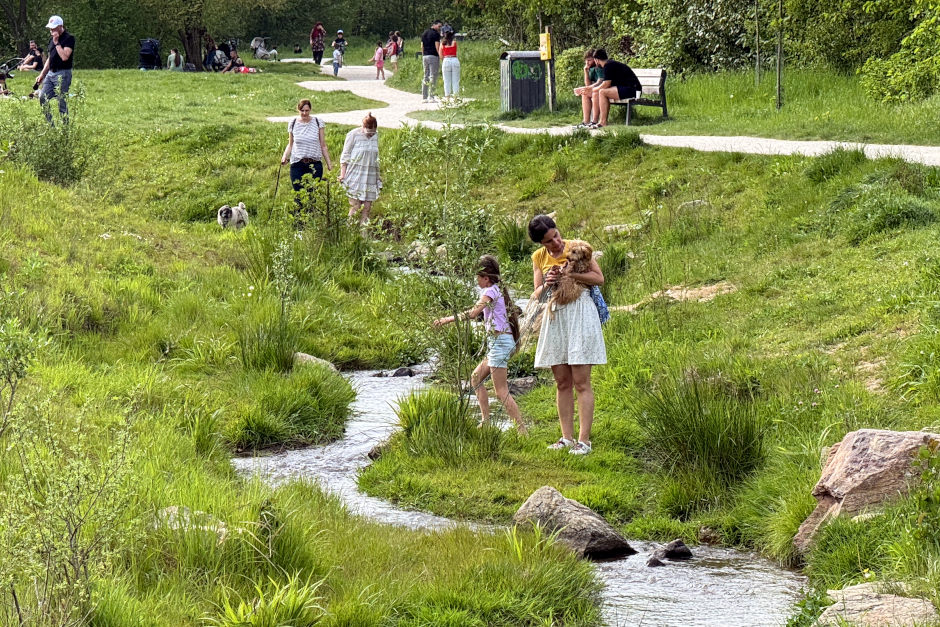 Vielfältiges Programm bei den Wiesbadener Wochen der biologischen Vielfalt im Mai und Juni