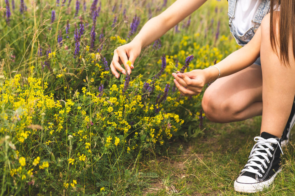 Die Veranstaltung "Bewusstsein für Biodiversität fördern", findet am Mittwoch, 21. Mai in derWiesbadener Hochschule RheinMain statt.