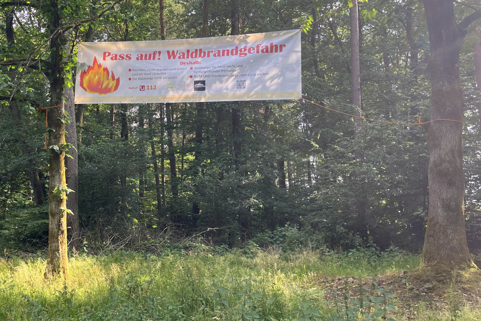 Regen bringt Entspannung: Wiesbaden senkt Waldbrandwarnstufe