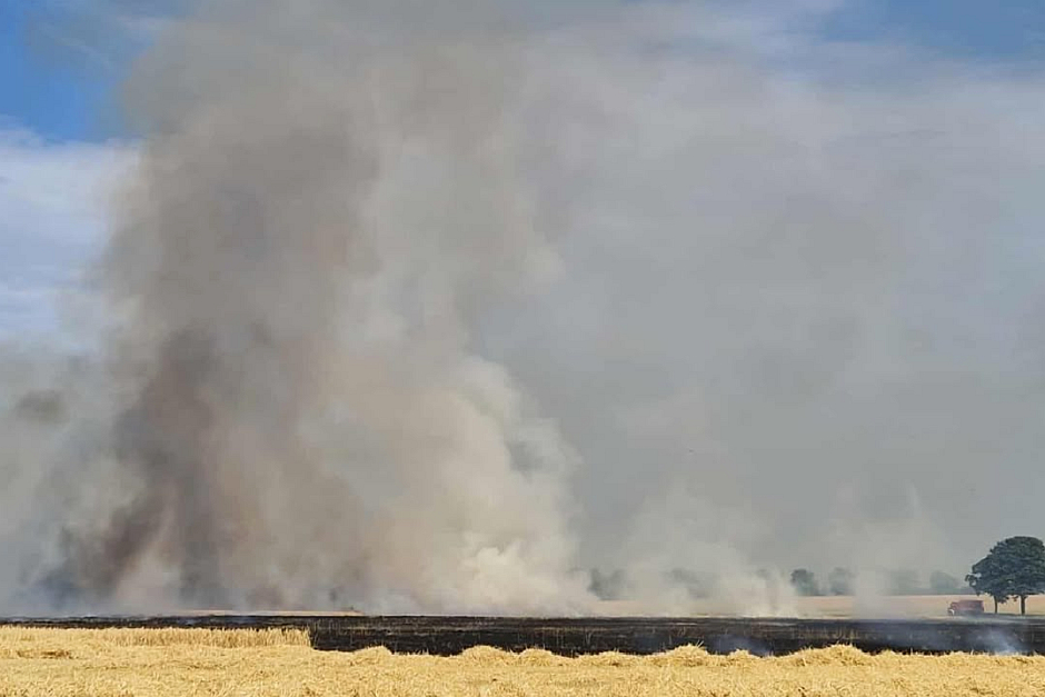 Feuerwalze bei Wiesbaden: Großbrand zwischen Erbenheim und Kastel wütet über 75.000 Quadratmeter.