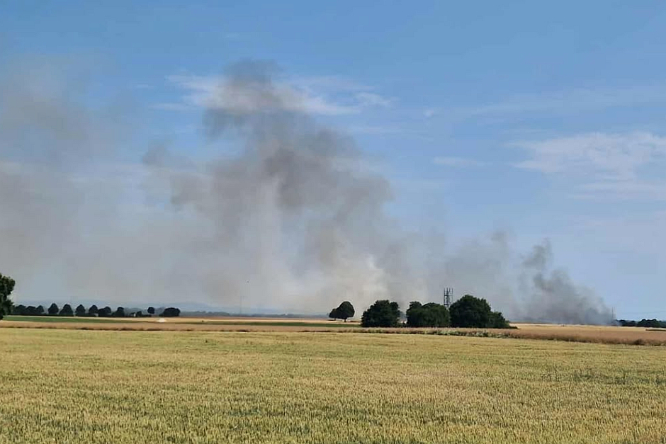 Feuerwalze bei Wiesbaden: Großbrand zwischen Erbenheim und Kastel wütet über 75.000 Quadratmeter.