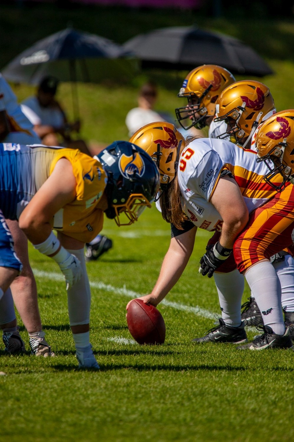 German Football League: Wiesbaden Phantoms gegen Regensburg Phoenix am Samstag, 21. Juni 2025