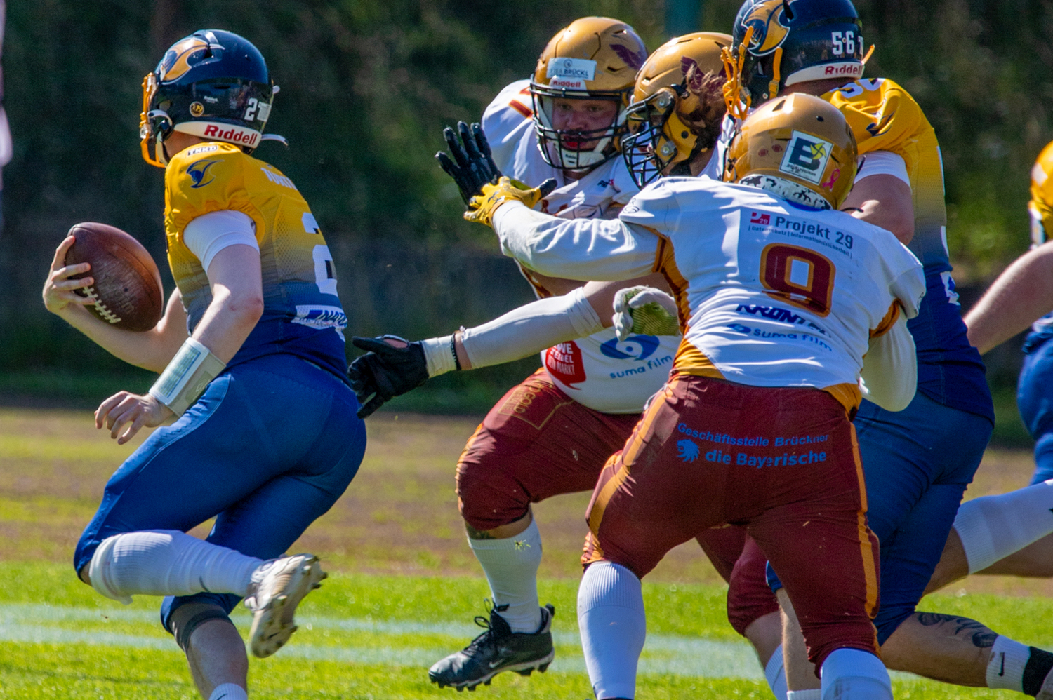 German Football League: Wiesbaden Phantoms gegen Regensburg Phoenix am Samstag, 21. Juni 2025