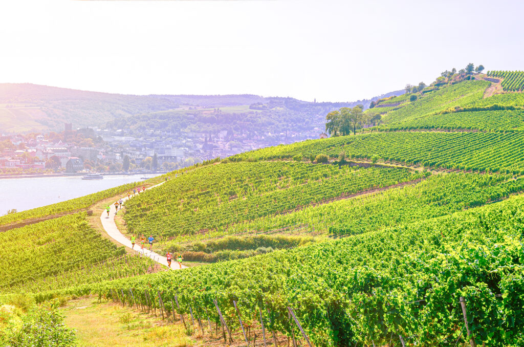 Mit dem "1. Henkell Vinothon – Wiesbaden-Rheingau Genuss Marathon" feiert ein neues Lauf-Veranstaltungsformat Deutschland-Premiere.