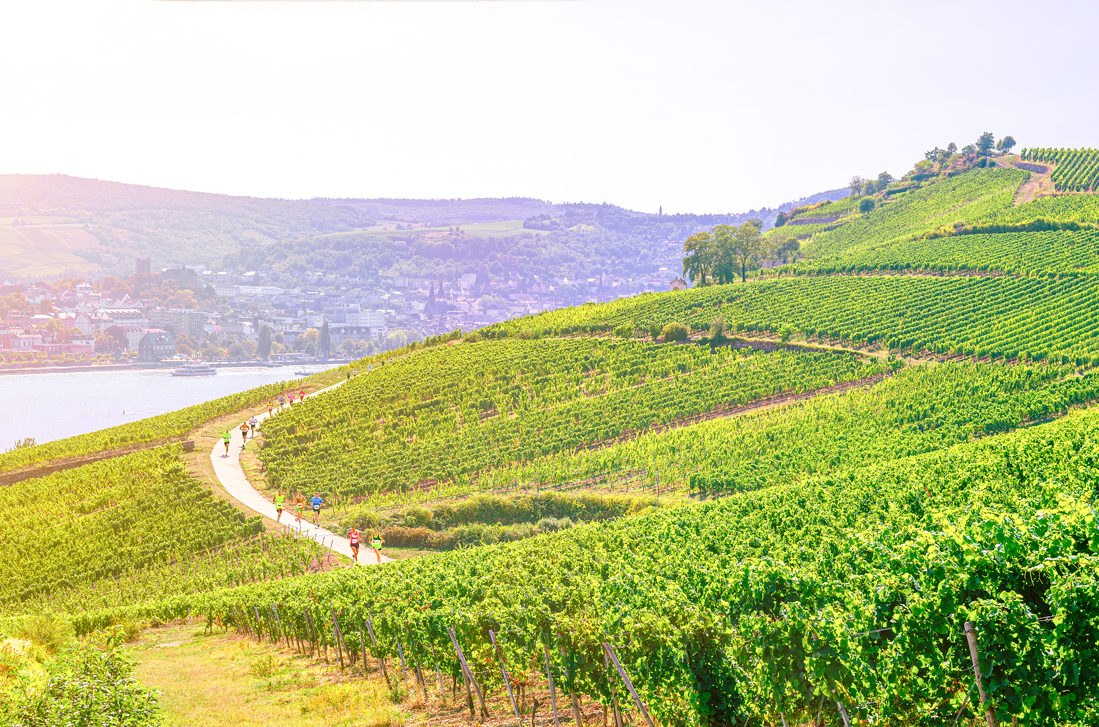 Mit dem "1. Henkell Vinothon – Wiesbaden-Rheingau Genuss Marathon" feiert ein neues Lauf-Veranstaltungsformat Deutschland-Premiere.