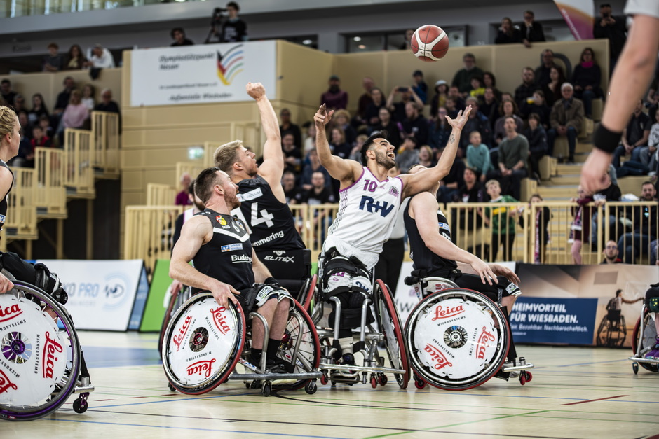 Rhine River Rhinos starten Crowdfounding Kampagne