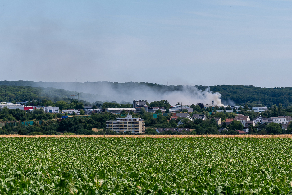 Großeinsatz in Hofheim-Wallau: Brand auf Meinhardt-Gelände führt zu starker Rauchentwicklung