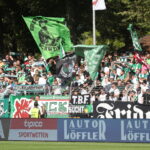 Nächstes Bild