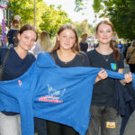 Vorheriges Bild