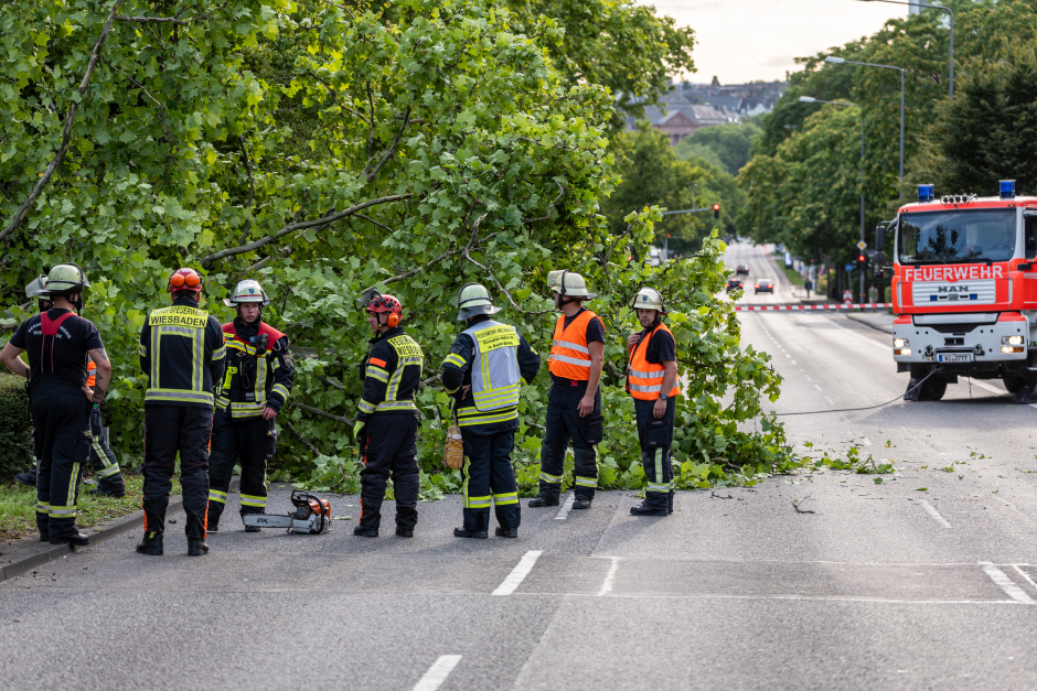 Feuerwehr fällt Baum nach Wasserrohrbruch im Gustav-Stresemann-Ring am Freitagabend in Wiesbaden.