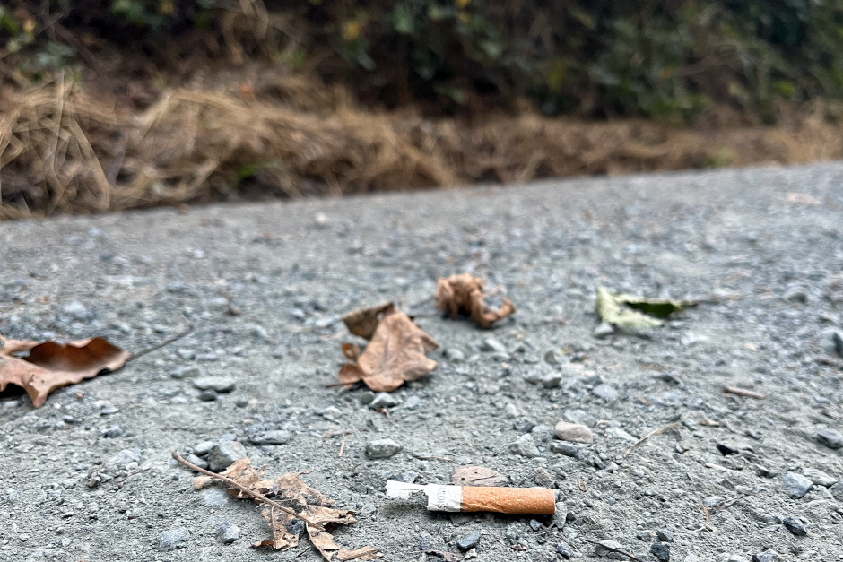 In Wiesbaden wurde die Waldbrandwarnstufe von 3 auf 2 gesenkt