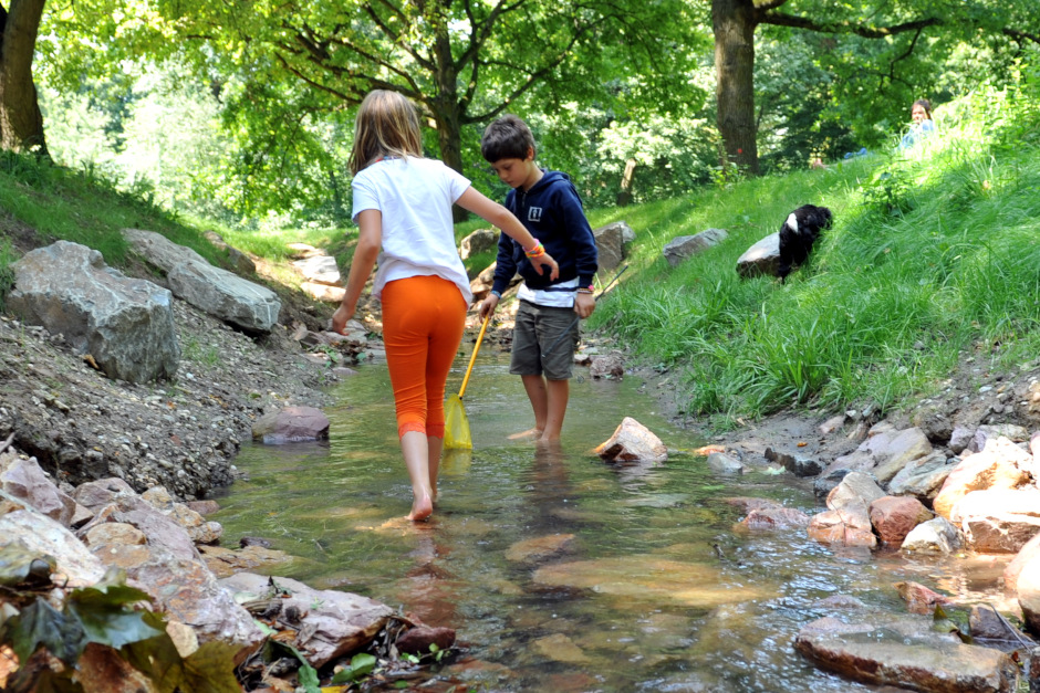 Natur-Erleben. Kinder als Wasserforscher in der Fasanerie Wiesbaden.