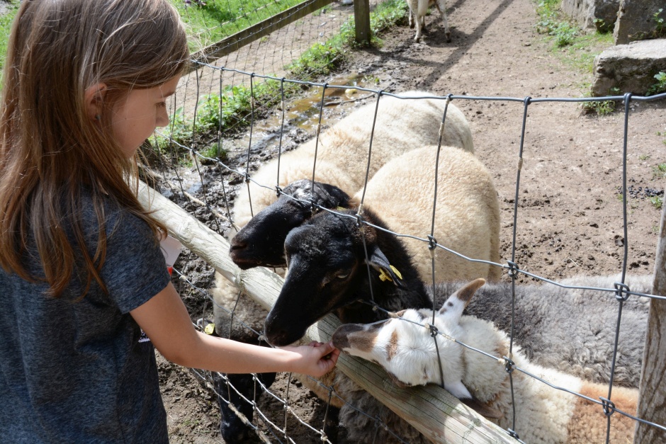 Der Tierpark Fasanerie in Wiesbaden bedankte sich bei seinen Tierpaten mit einer exklusiven Führung.