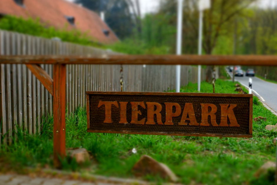 Familien-Workshop: Nachtwanderung zu den Tieren und Pflanzen in der Fasanerie Wiesbaden