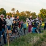Nächstes Bild