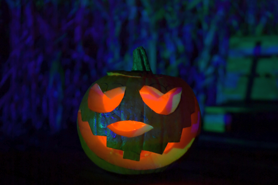 Kürbisgiganten und Halloween-Nächte: Pauls Bauernhof als Event-Highlight im Herbst.