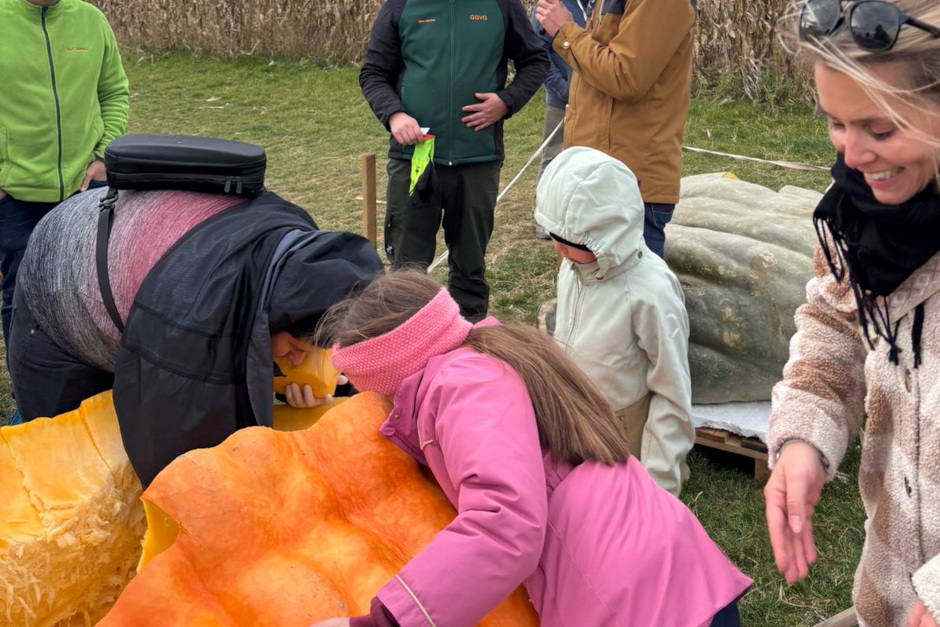 Kürbisgiganten und Halloween-Nächte: Pauls Bauernhof als Event-Highlight im Herbst.