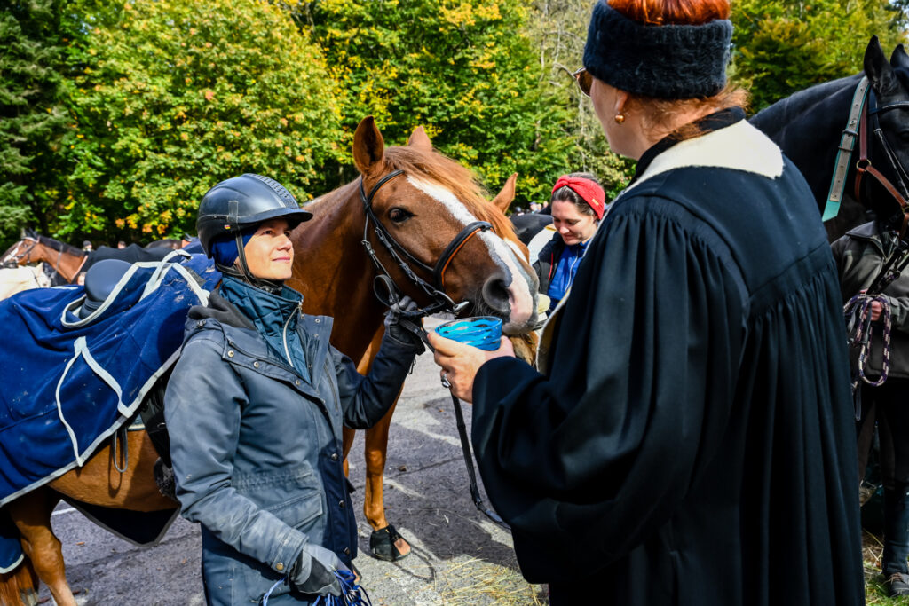 Sternritt Wiesbaden Jagdschloss Platte Pferdesegnung