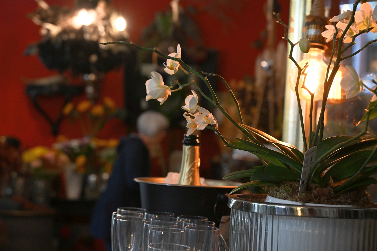 Verkaufsoffener Sonntag in Wiesbaden-Biebrich: Shopping, Genuss und lebhafte Stimmung am Sonntag, 19. Oktober 2025