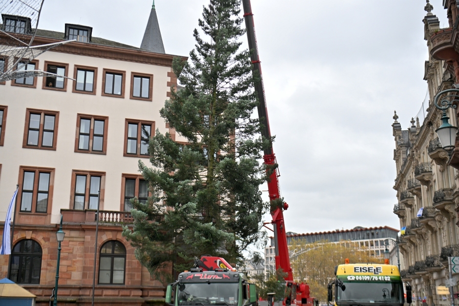 Am Mittwoch, dem 12. November 2025, wird der Weihnachtsbaum vor dem Wiesbadener Rathaus am Schlossplatz 6 feierlich aufgestellt. Um 9:45 Uhr gibt Bürgermeisterin Christiane Hinninger dem stattlichen Baum seinen Namen und informiert über die Details rund um die besinnliche Tradition. Alle Wiesbadenerinnen und Wiesbadener sind herzlich eingeladen, bei diesem festlichen Ereignis dabei zu sein.
