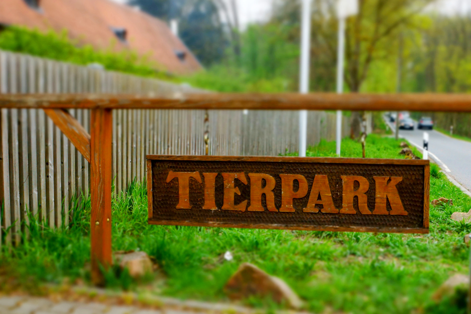 Verfilzt und zugenäht: Natur-Erleben in der Fasanerie Wiesbaden.