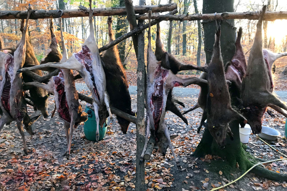Wildverkauf im Forsthaus in WIesbaden-Dotzheim geschlossen.
